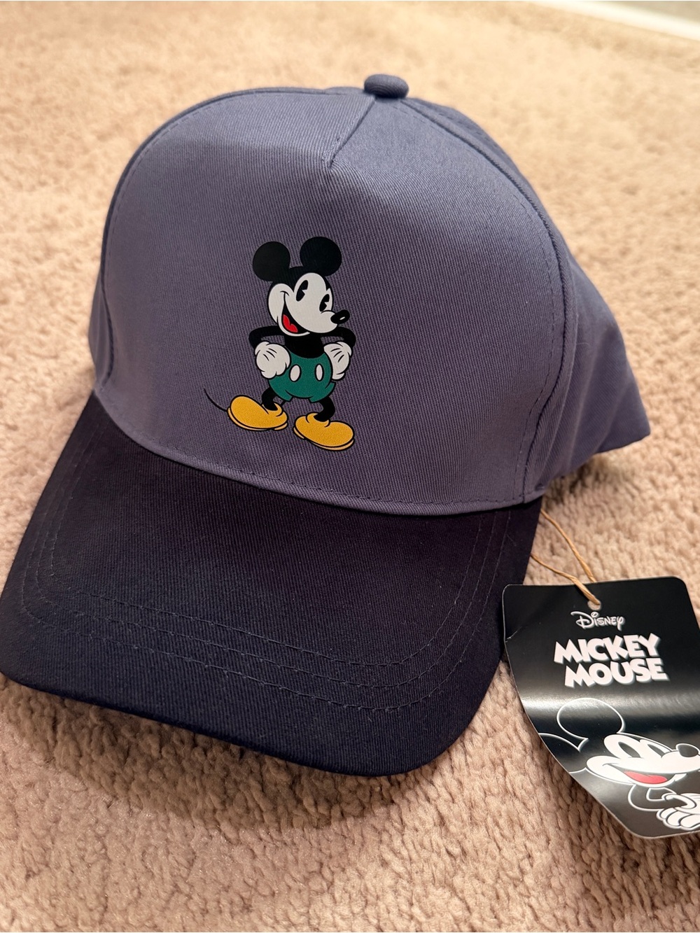 Disney Mickey Mouse Graphic Hat - NWT - Retro Colorblock Cap